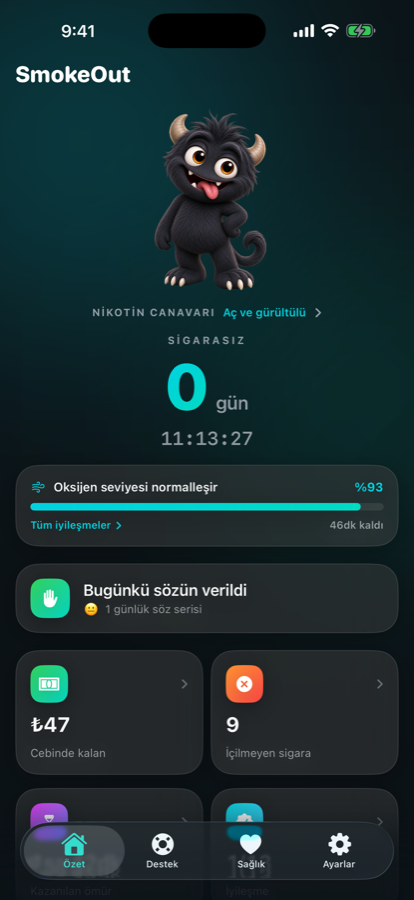 Özet ekranı